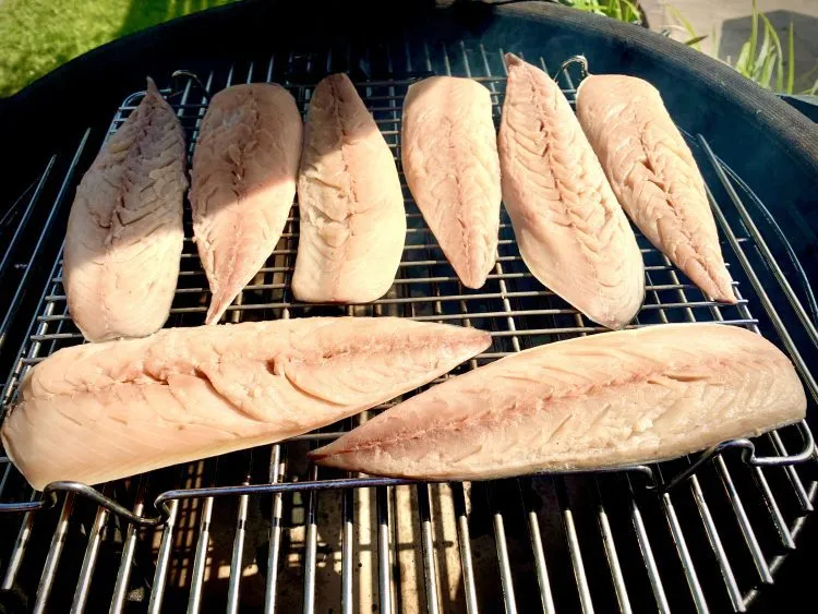 Mackerel fillets on the kamado grill